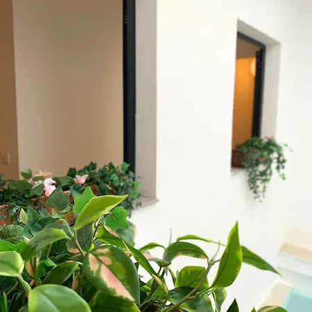 Nordic! 1 Bedroom Apartman *